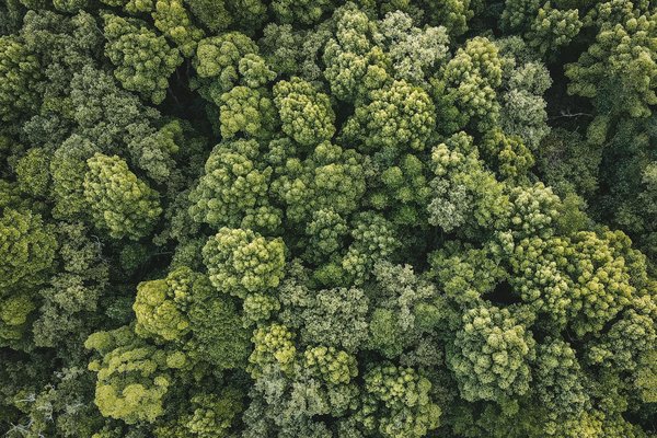 Trouvez le piano d'occasion parfait pour votre musique